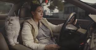 Kunsten at tilføre merværdi til en '96 Honda Accord med storytelling